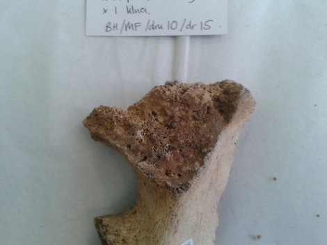 pelvic bone from Arbor Low